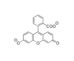 Fluorescein