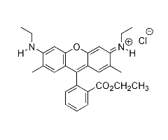 Rhodamine 6G